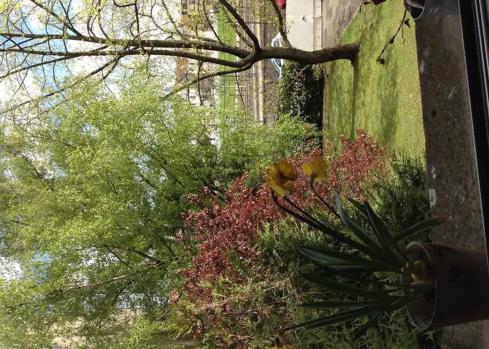 Studio - Centre Pompidou *